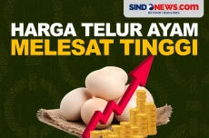Harga Telur Ayam Melejit,...