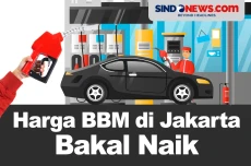 Terkerek PBBKB, Harga...