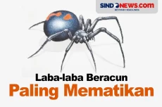 Bisa Membunuh Manusia,...