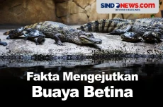 Jarang Diketahui, Berikut...
