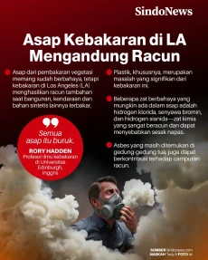 Asap Kebakaran di Los...