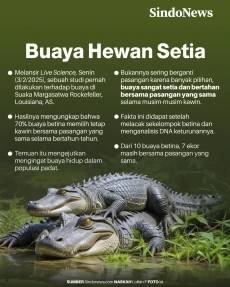 Fakta Mengejutkan, Ternyata...