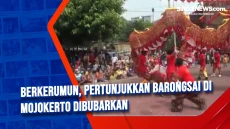 Berkerumun, Pertunjukkan...
