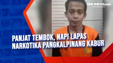 Panjat Tembok, Napi...