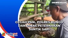 Cegah PMK, Polres Bungo...