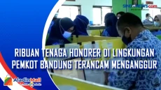Ribuan Tenaga Honorer...