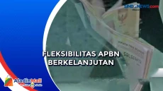 Fleksibilitas APBN Berkelanjutan