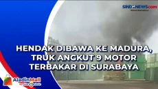 Hendak Dibawa ke Madura,...