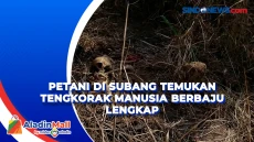 Petani di Subang Temukan...