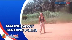Maling Sawit Tantang...