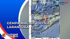 Pagi Ini, Larantuka...