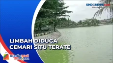 Ikan Mati, Situ Terate...