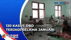 Kasus Demam Berdarah...