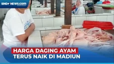 Harga Daging Ayam Terus...
