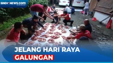 Jelang Hari Raya Galungan,...
