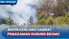 Kebakaran Gunung Bromo,...