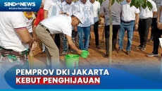 Kurangi Polusi Udara,...
