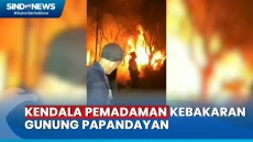 Hutan di Gunung Papandayan...