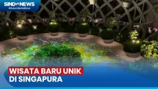 Wisata Menakjubkan di...
