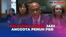 Diveto AS, Palestina...