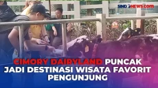 Libur Iduladha, Cimory...