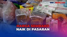 Pantauan Harga Sembako...