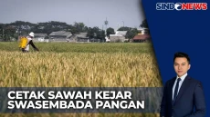 Pemerintah Targetkan...