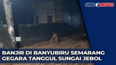 Tanggul Jebol! Desa...