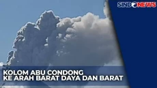 Erupsi Lewotobi Laki-laki,...