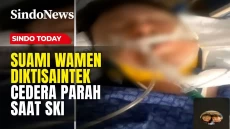 Suami Wamen Diktisaintek...