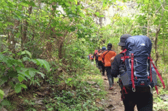BPBD Enrekang Hentikan Pencarian Nenek yang Hilang di Hutan
