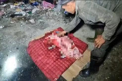 Mayat Bayi Baru Lahir Dibuang di TPA Gemparkan Warga Medan, Diduga Hasil Hubungan Gelap