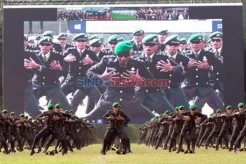 Survei Indikator: TNI Institusi Paling Dipercaya Rakyat