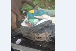 Kecelakaan Maut di Tanggamus Lampung, 1 Keluarga Tewas Mengenaskan