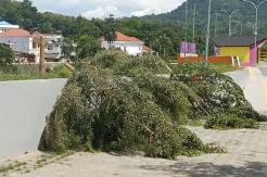 Puluhan Pohon di Taman Anjungan Sungai Mata Allo Ditebang OTK