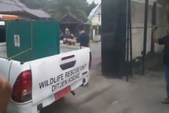 Usai Penemuan Kerangkeng Manusia, Rumah Bupati Langkat Simpan Hewan Dilindungi