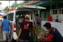 Memilukan! Mandi di Sungai 3 Bocah di Tegal Tewas Tenggelam