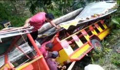 Kereta Kelinci Bermuatan 40 Penumpang Terjun ke Irigasi Sawah, 2 Orang Tewas