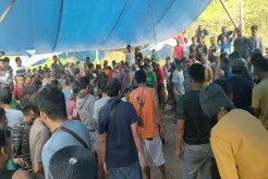 Ada  Arena Judi Sabung Ayam Terbesar di Kabupaten Sorong, Ini Jawaban Kapolres