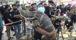 Kontes Unik, Puluhan Biawak Masuk Mall di Surabaya