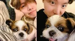 10 Idol K-Pop yang Adopsi Anjing Telantar, Ada yang Ditinggal di Pom Bensin