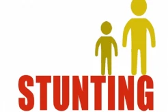 Tanggulangi Stunting, Kelurahan Setu Jadi Proyek Percontohan Kepiting