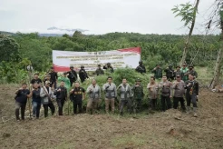 Aparat Musnahkan Ladang Ganja 6,28 Hektare di Aceh Utara