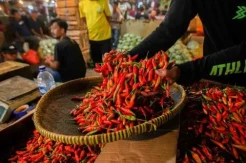 Harga Cabai Rawit hingga...