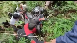 Asyik Berboncengan, Sepasang Kekasih Masuk Jurang di Cemoro Kandang Gunung Lawu