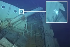 Karam di Antartika, Kapal Shackleton Kini Dikuasai Makhluk Laut