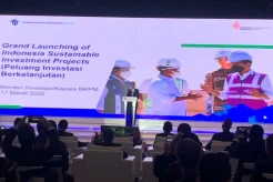 Pemerintah Luncurkan 47 Proyek Investasi Berkelanjutan, Nilainya Rp155 Triliun