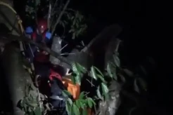 Tangis Keluarga Pecah saat Evakuasi Pekerja yang Tewas Tersangkut di Pohon