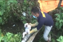 Mayat Bayi Perempuan Ditemukan Membusuk di Saluran Irigasi, Diduga Hasil Hubungan Gelap