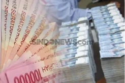 Baru 44 Desa di Kabupaten Luwu Mencairkan Dana Desa